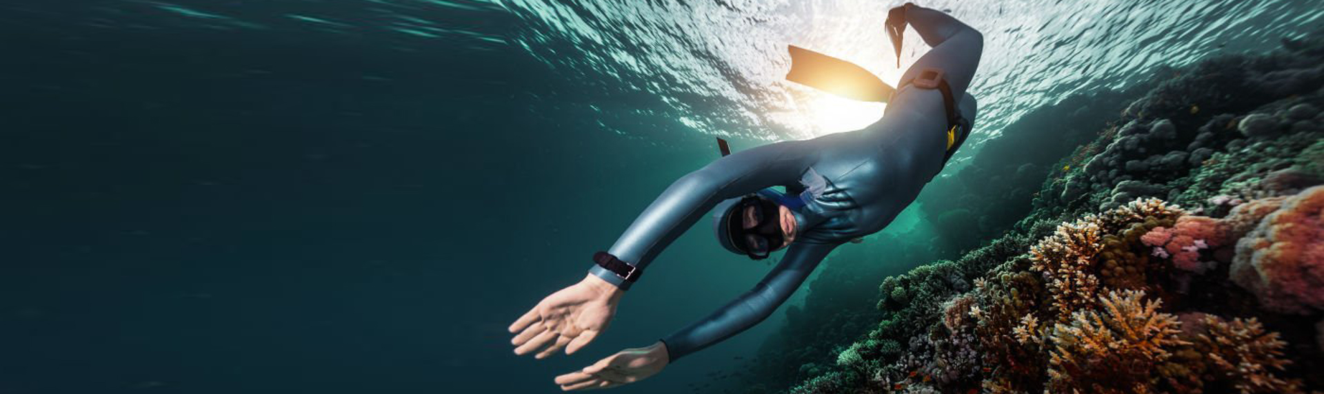 Free Dive